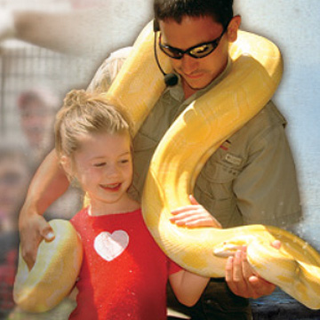 Snake handling at Alligator Adventure, Myrtle Beach, SC
