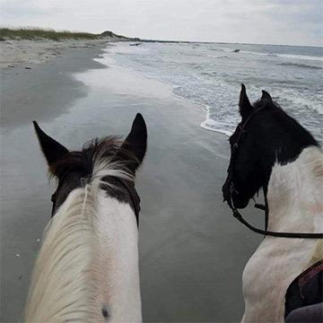 Horseback Riding of Myrtle Beach, SC
