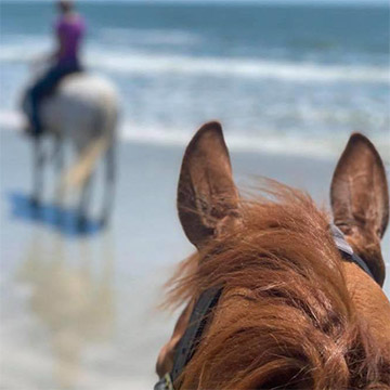 Inlet Point Plantation Horseback Tours, Myrtle Beach, SC