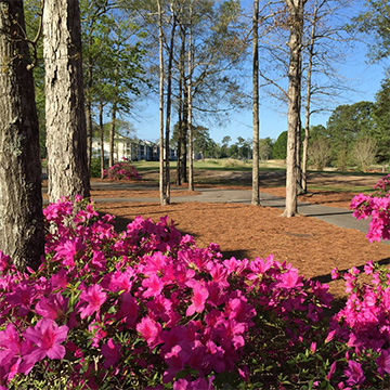 River Oaks Golf Club, Myrtle Beach, SC Golf Course