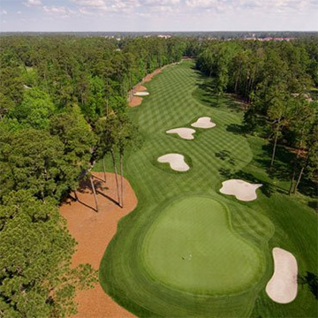 Tidewater Golf Club, Myrtle Beach, SC Golf Course